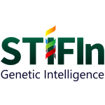 stifiin
